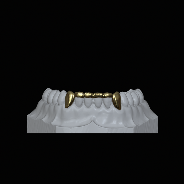 Gold Plated Lower Fang With Barr Connection