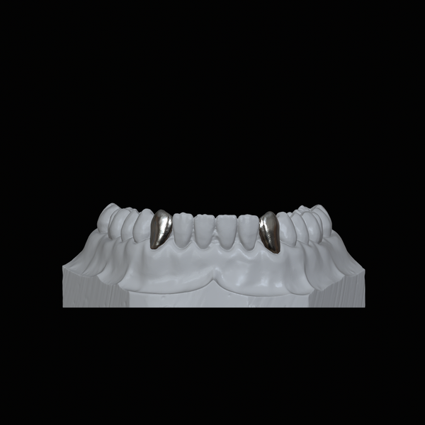 Lower Fang Grillz