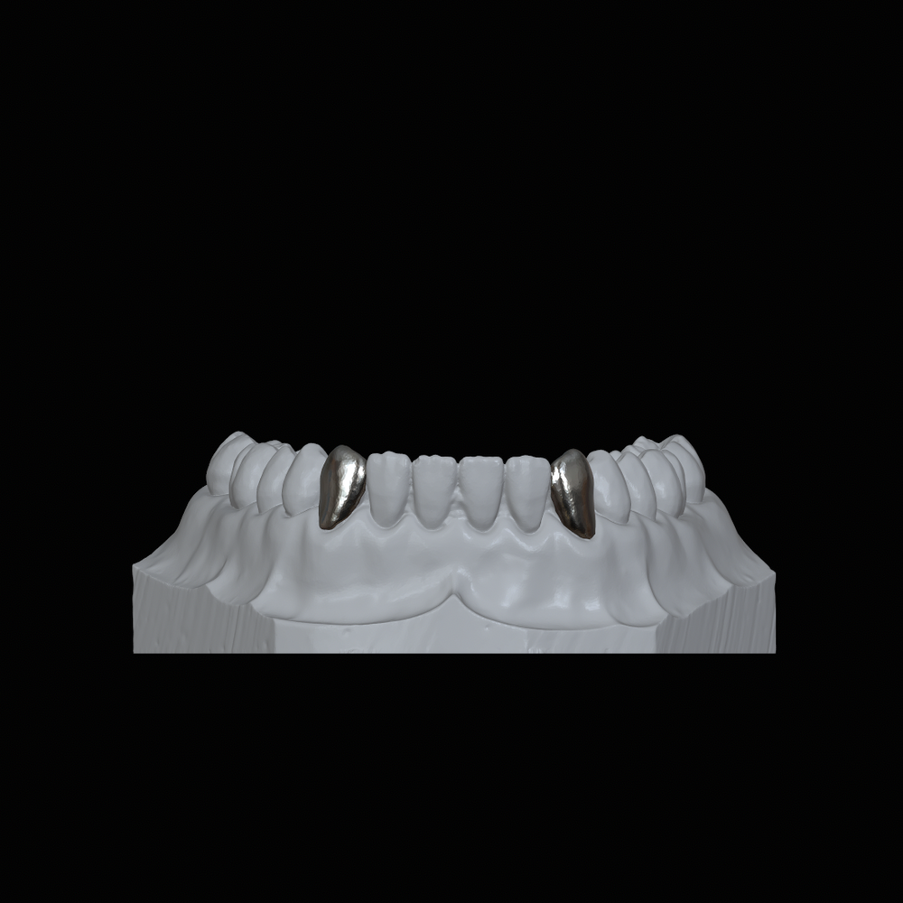 Lower Fang Grillz